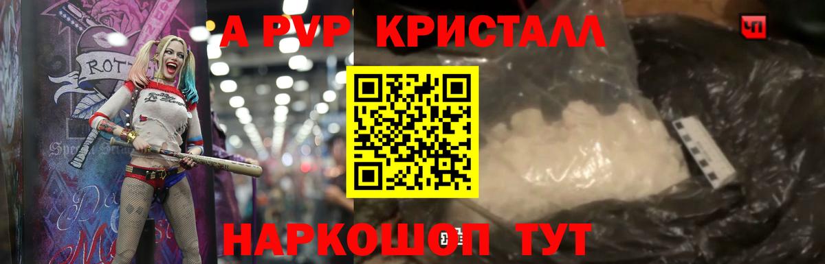 Альфа ПВП СК Избербаш