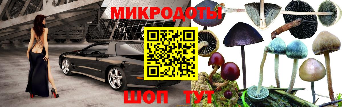 Псилоцибиновые грибы Cubensis Избербаш